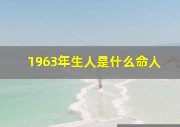 1963年生人是什么命人