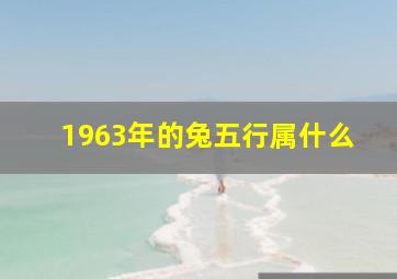 1963年的兔五行属什么