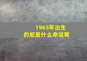 1965年出生的蛇是什么命运呢