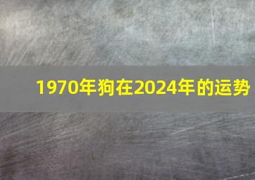 1970年狗在2024年的运势