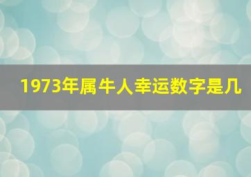 1973年属牛人幸运数字是几