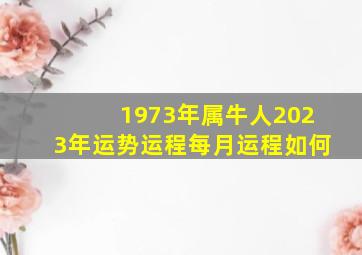 1973年属牛人2023年运势运程每月运程如何