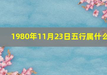 1980年11月23日五行属什么