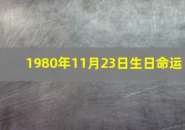 1980年11月23日生日命运