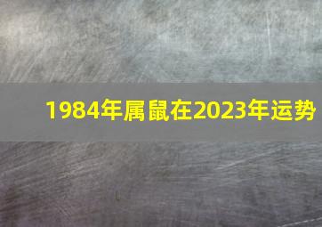 1984年属鼠在2023年运势