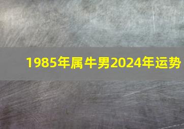 1985年属牛男2024年运势