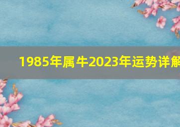 1985年属牛2023年运势详解