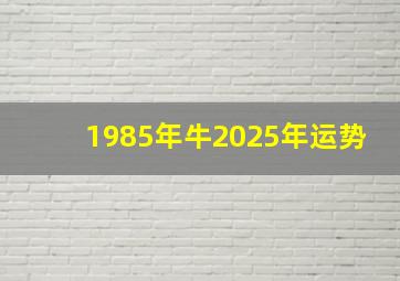 1985年牛2025年运势