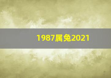 1987属兔2021