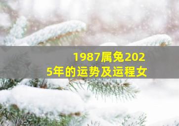 1987属兔2025年的运势及运程女