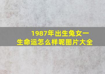 1987年出生兔女一生命运怎么样呢图片大全