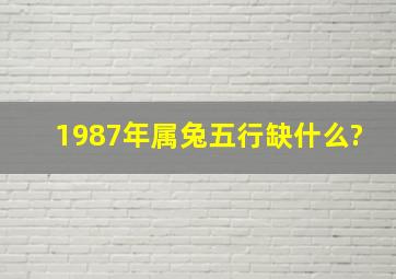 1987年属兔五行缺什么?