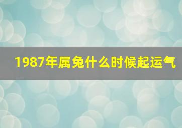 1987年属兔什么时候起运气