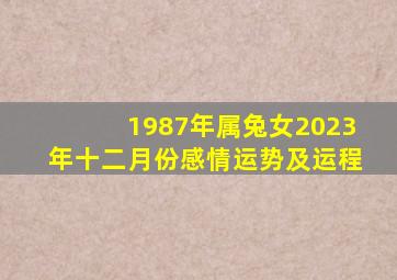 1987年属兔女2023年十二月份感情运势及运程