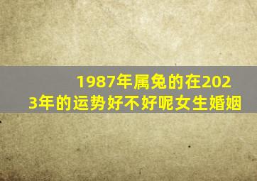 1987年属兔的在2023年的运势好不好呢女生婚姻