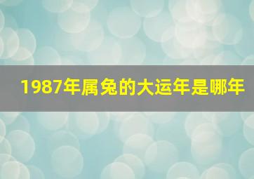 1987年属兔的大运年是哪年