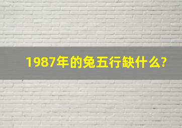 1987年的兔五行缺什么?