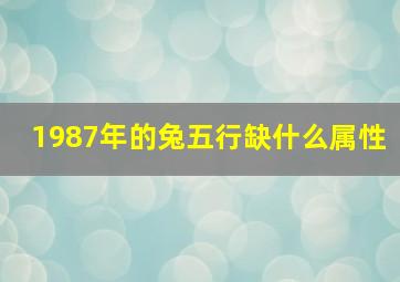 1987年的兔五行缺什么属性