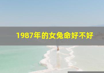 1987年的女兔命好不好