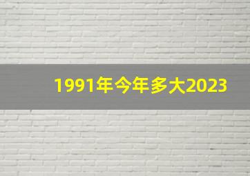 1991年今年多大2023