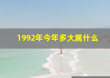 1992年今年多大属什么