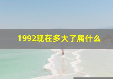 1992现在多大了属什么