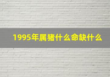 1995年属猪什么命缺什么