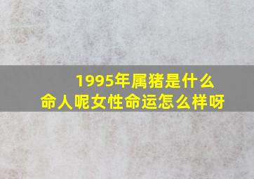 1995年属猪是什么命人呢女性命运怎么样呀