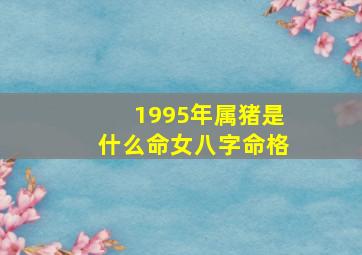 1995年属猪是什么命女八字命格