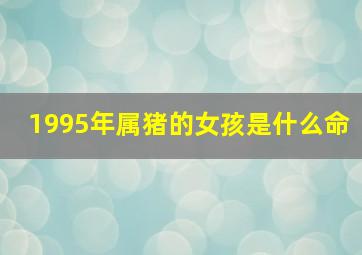 1995年属猪的女孩是什么命