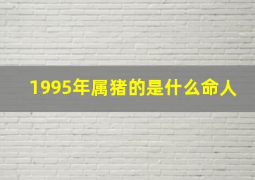 1995年属猪的是什么命人