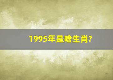 1995年是啥生肖?