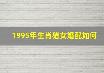 1995年生肖猪女婚配如何