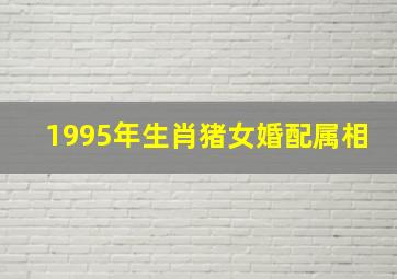 1995年生肖猪女婚配属相