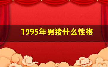 1995年男猪什么性格