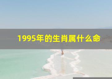 1995年的生肖属什么命