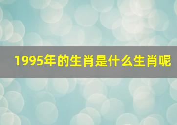 1995年的生肖是什么生肖呢