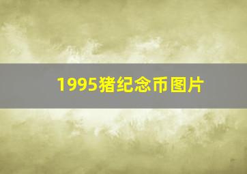 1995猪纪念币图片