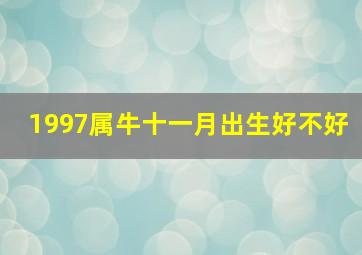 1997属牛十一月出生好不好