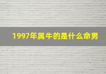 1997年属牛的是什么命男