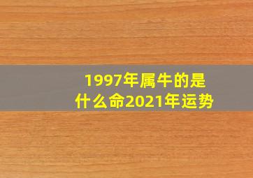 1997年属牛的是什么命2021年运势