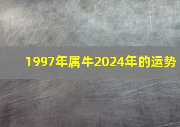 1997年属牛2024年的运势