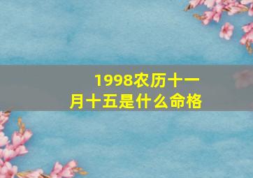 1998农历十一月十五是什么命格