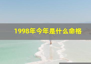 1998年今年是什么命格