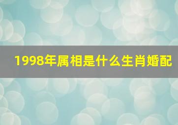 1998年属相是什么生肖婚配