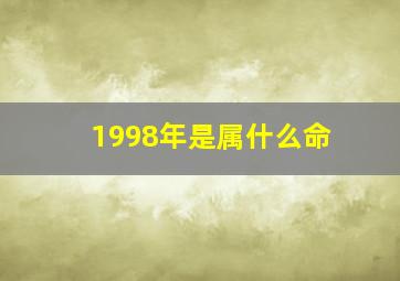 1998年是属什么命