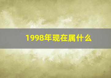 1998年现在属什么