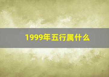 1999年五行属什么