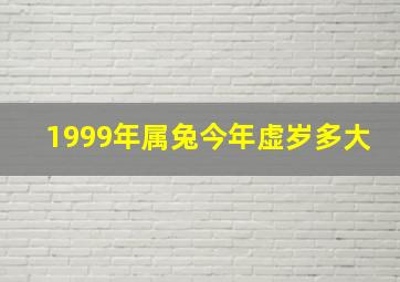 1999年属兔今年虚岁多大