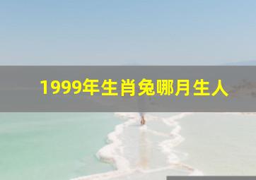 1999年生肖兔哪月生人